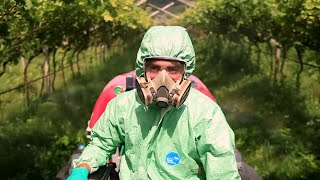 The Food Race  Pesticides, GMOs and Organic Farming on the Test