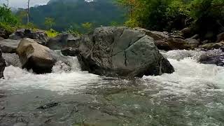 River sounds for deep sleep in 10 minutes | Insomnia, Meditation, Relaxing and Study