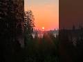 Another beautiful morning #2024 #autumn #juuka #finland #september #sunrise #sky #fog #shorts #short