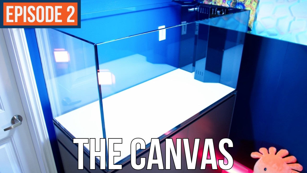 Choosing Your Reef Tank's Canvas - Thomas' Reef Build EP 2