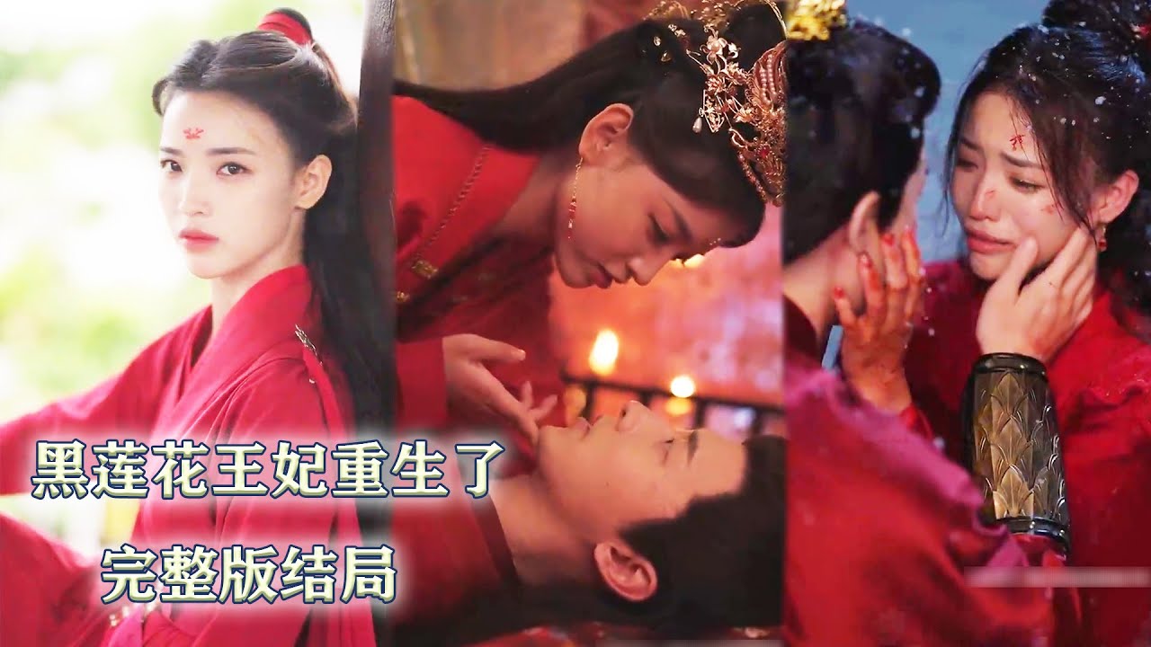 重生大婚夜：王妃她又野又颯
