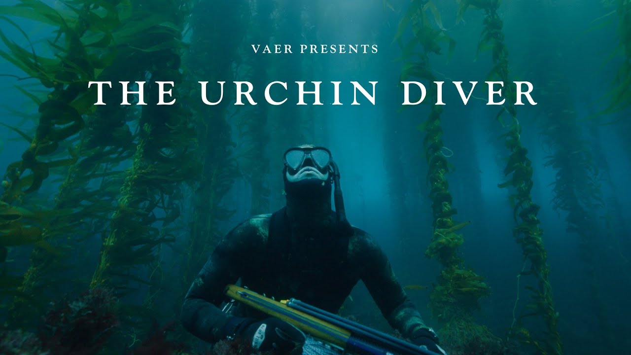 VAER Presents: The Urchin Diver