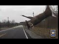 Watch: Dash cam of Kentucky police cruiser hitting deer