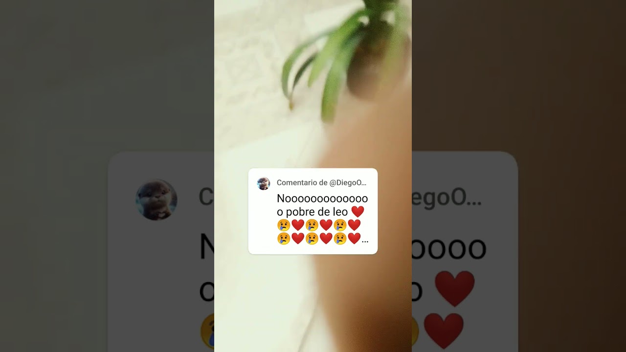 25 de agosto de 2025