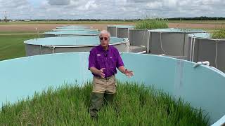Exclusive When to Plant Forage for Crawfish Profile