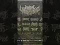 JAMPANG UNDERGROUND 4 | VLOG N' LOUD #underground #extrememetal #metalhead #metal #festival