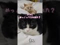 ママに怒られた？