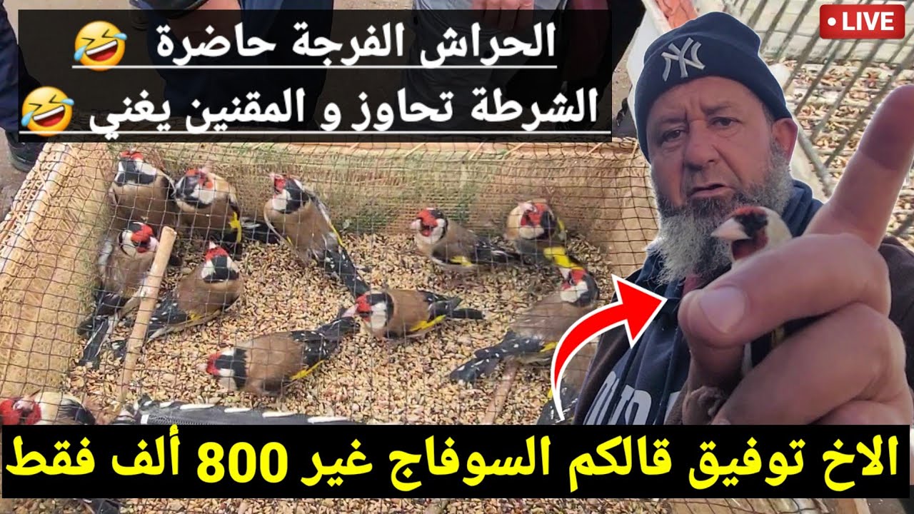 الشرطة تحاوز في الغاشي لاكن المقنين يفرض نفسه بسوق الحراش اليوم و الأخ توفيق يبيع السوفاج 8000 دج !؟