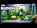 Building The BUDDHA Tank (part 2) Planting | MD Fish Tanks