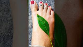 Simple Unique And Beautiful Leaf Mehndi Design