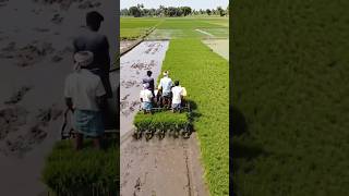 Smart Farming Technology in India || #farming #shorts