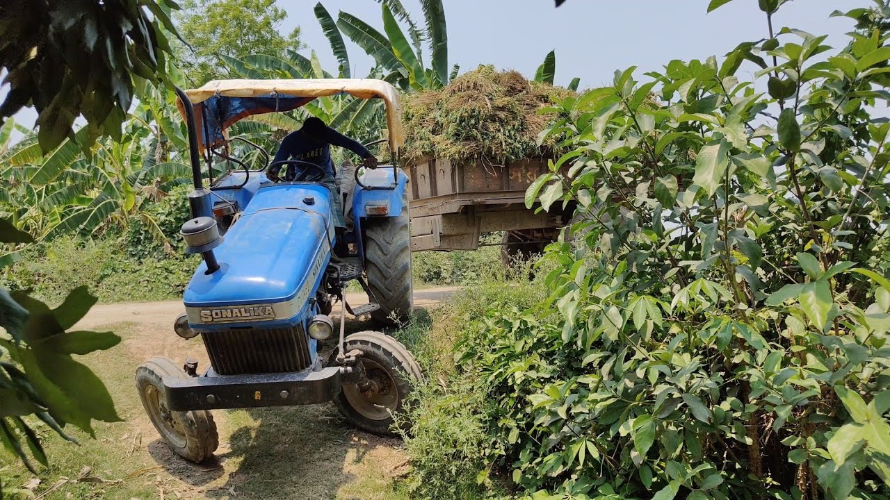Sonalika 745 Tractor Trolley Over Load | Tractor Trolley video | Tractor And most video | JM Bangla