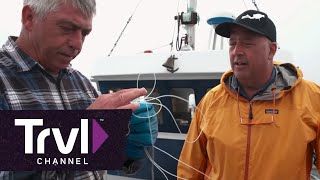 Top 5: Newfoundland | Bizarre Foods With Andrew Zimmern | Travel Channel