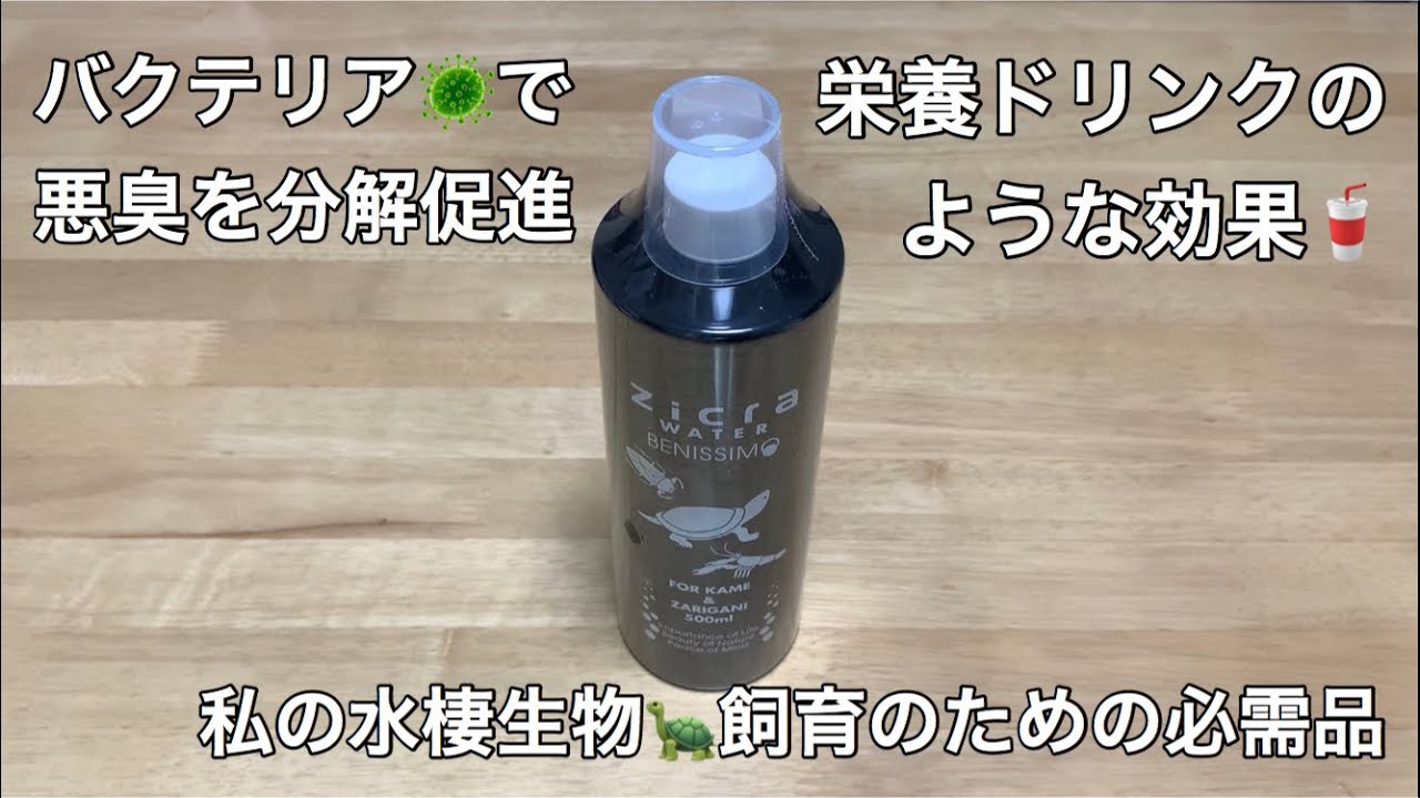 私が水棲生物を飼育出来るための必需品の購入 ジクラウォーターベニッシモ そのほか合わせて三点購入 Youtube