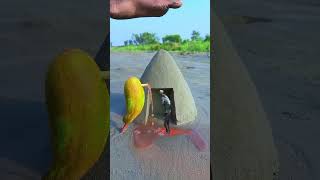Creative videography idea, amazing #creative #Amazing #facebook #magical #Facebook reel #foryou