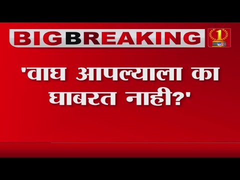 Rohit Pawar यांची Facebook पोस्ट चर्चेत, पहा पोस्टमध्ये नेमकं काय? -Tv9