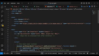 Build a Image Zoom & Magnifier With Live Preview in Browser Using js-image-zoom Library in JS