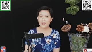 20200814 2【养虎为患】【颜色革命的双驾（NED+Soros）马车，直奔美国而来】【寒梅频道】