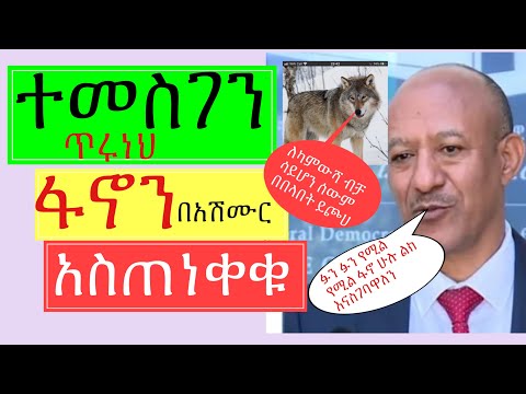 ቪዲዮ: የህዝብ ደህንነት ቴሌኮሙኒኬተር ምንድን ነው?