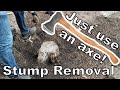Stump Removal by Brute Force - Just an Axe and a Shovel!