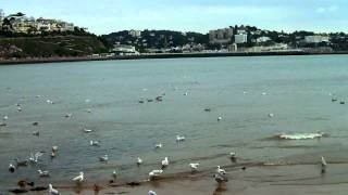 Torre Abbey Sands, Torquay England