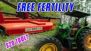 Turn Garden Overgrowth Into Fertilizer: Chop and Drop Technique