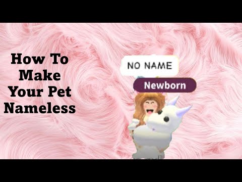 How To Make Your Pet Nameless In Adopt Me