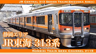 4K 60fps】【#のんてつ】JR東海 313系 静岡エリア IGBT-VVVF JR