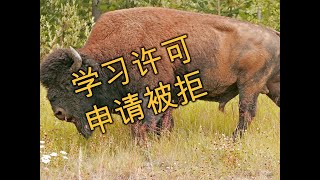 案例分析：尼日利亚公民四次申请被拒，三次司法复核，为什么大龄境外申请加拿大学习许可这么难？