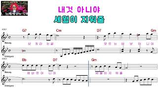 정규리ㅡ사랑을 찾아서ㅡ여자키ㅡELF 919ㅡ95263