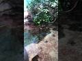 #viral #fypシ #shortvideo #foryou #beautiful #nature #fypシ゚viral #water #fy #fish #sea #seaworld #fyp