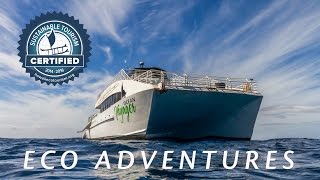 Pacific Whale Foundation - ECO Tours