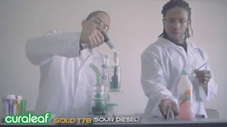 Dabster Morgan | CT MMJ Reviews: Episode 14