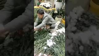 Rose Leaf Thorn Remover Machine For All Kinds Of Flowers