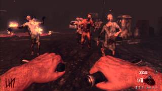 black ops 2 tranzit low round strategy