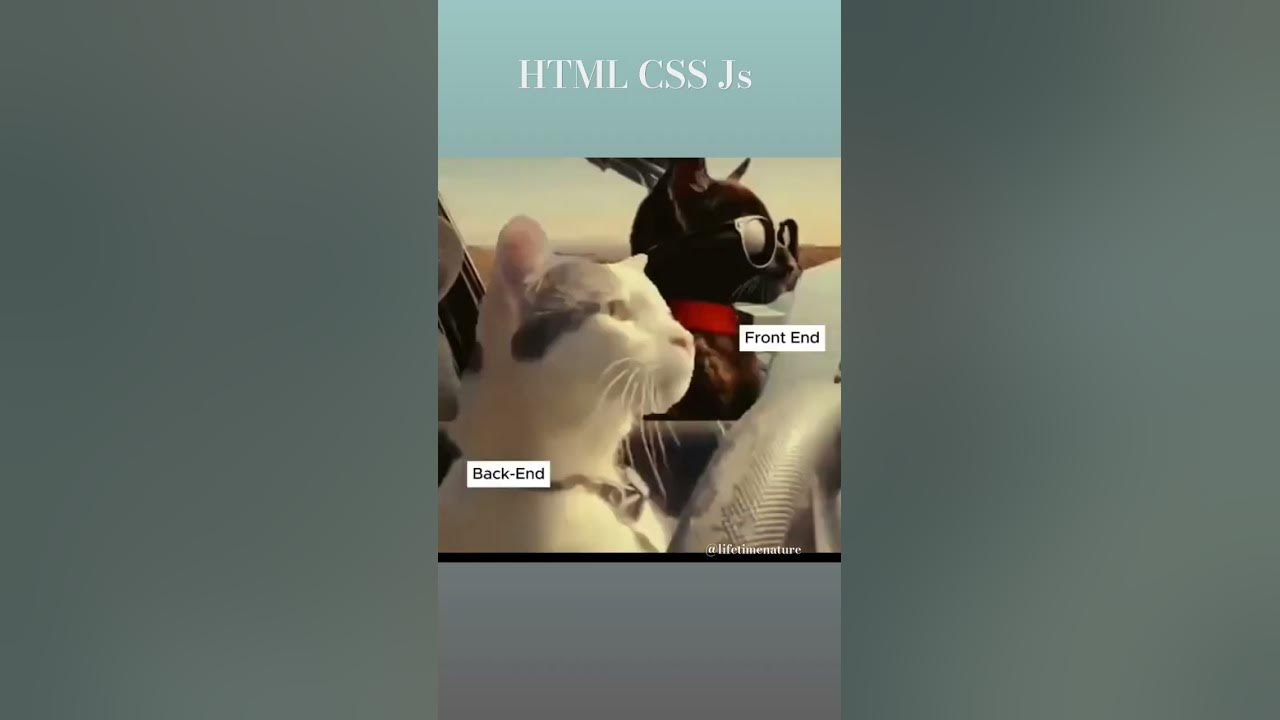 Front end and back end projekt shortsviral htmlcssjs shorts like 