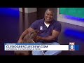 Rescue Me with CLE Dog Rescue Crew