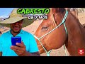 COMO FAZER CABRESTO DE CAVALO DE VAQUEJADA O FAMOSO CABRESTO DE 7 NÓ 🐎