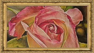 Velvet Bloom: Soft Pink Rose 4K Wallpaper | Sophisticated Floral Art for Frame TV screenshot 4