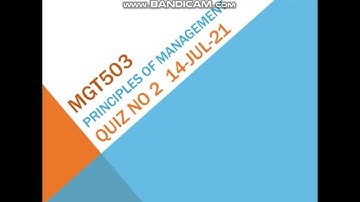 Mgt503 Principles of Management Quiz No 2