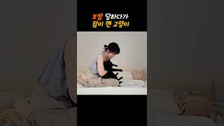 고양님을 잘못모신 집사#강돌이#고양이 #냥춘기 #cat #lovely #cute