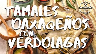 Como hacer Tamales Oaxaqueños de Verdolagas (Bonus Morita)