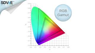 Celebrity Color Space & Color Depth Wealth