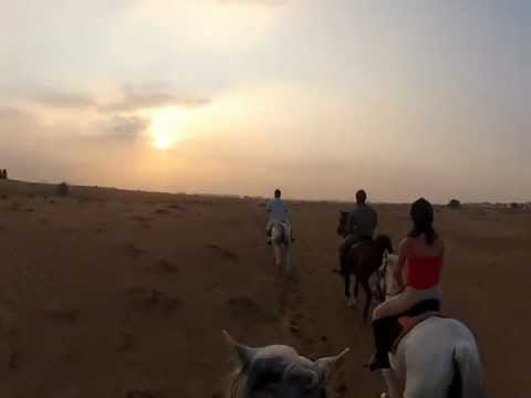 Horse Riding at Dubai Polo & Equestrian Club, 01/12/12, Ian Dmello