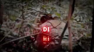 Dj masa kita kecil nakal macam orang utan (bunga ibu)