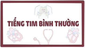 Tiếng tim bình thường