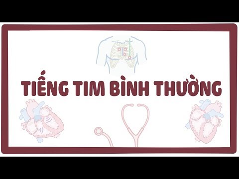 Video: Tiếng thổi tim ở chó