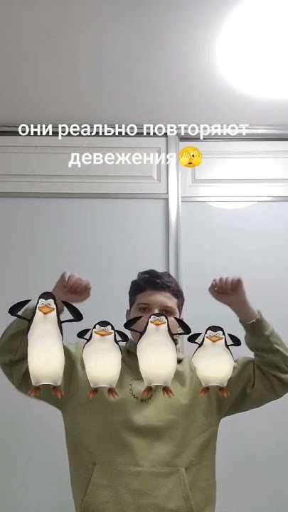 #кавасаки #каго #крико #эстрипе #пингвин #повторяют они рял повторяют ...