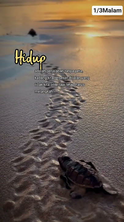 hamparan bumi #allah #quotes #sea #animals