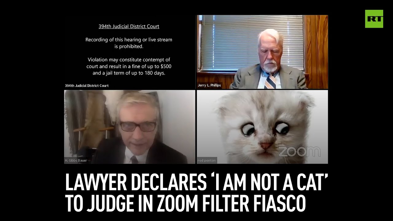 Lawyer Declares I Am Not A Cat To Judge In Zoom Filter Fiasco Youtube